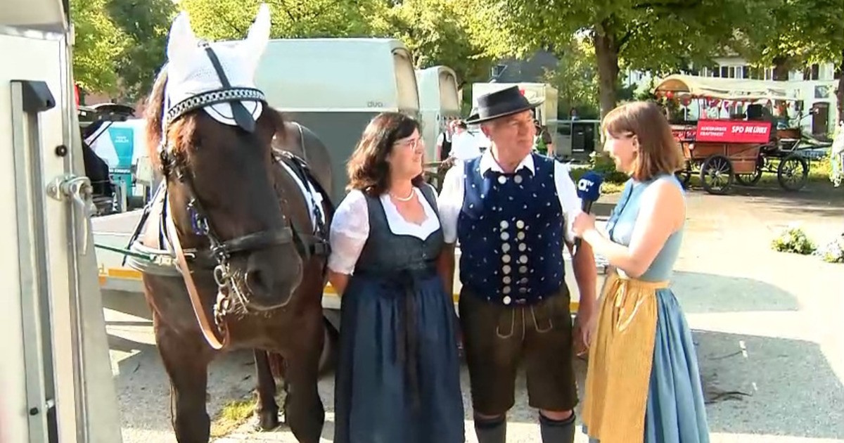 Plärrer-Festumzug: Interview mit Franz & Rita Heinle zu Noriker-Pferden