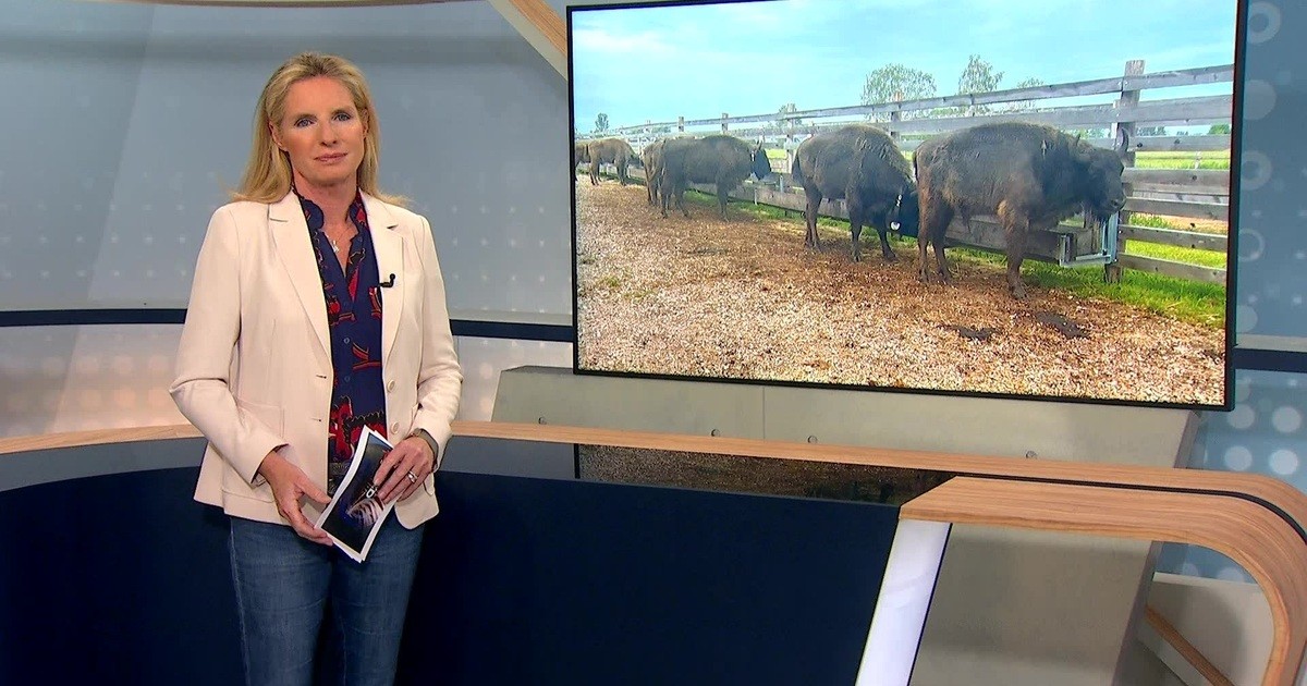 a.tv Aktuell vom 21.05.2024
