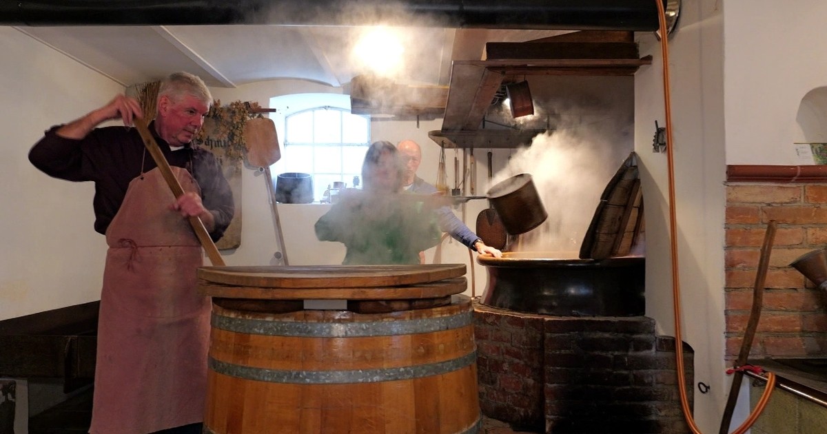 Heimatzeit – Traditionelles Bierbrauen in Stoffenried, Bourkesittiche aus Diedorf, Malefizgericht in Höchstädt, Faschingsumzug Balzhausen