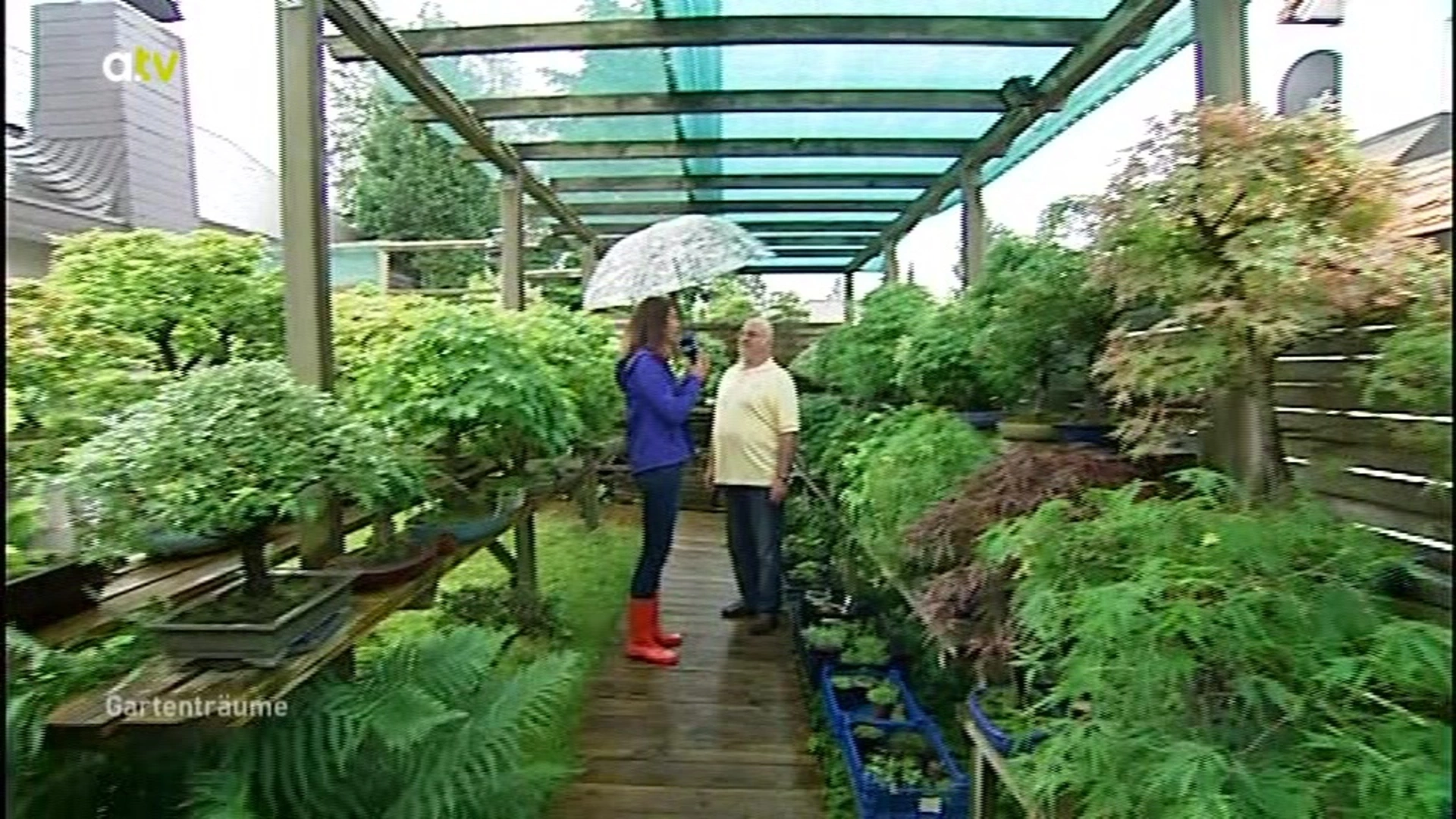 Gartentrume  Bonsais in Adelsried